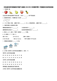 河北省沧州市渤海新区中捷产业园区2023年三年级数学第二学期期末质量检测试题含解析