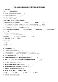 平顶山市宝丰县2023年三下数学期末复习检测试题含解析