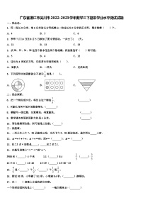 广东省湛江市吴川市2022-2023学年数学三下期末学业水平测试试题含解析