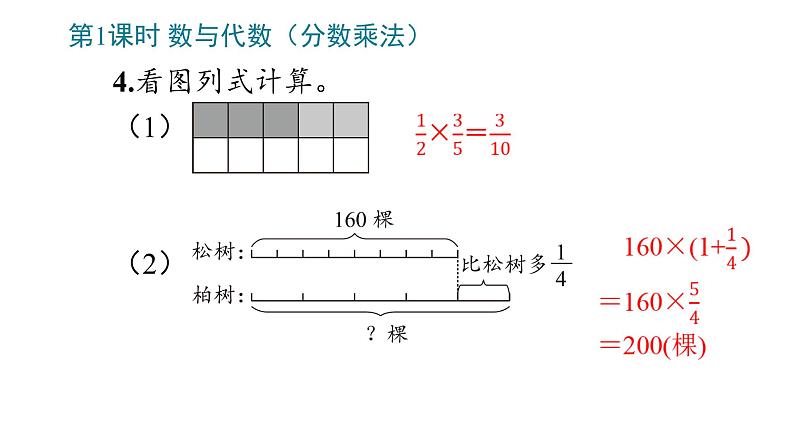 9_总复习（六年级上册））课件PPT07