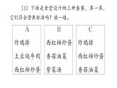 8 营养午餐课件PPT