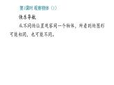 2 观察物体(二)课件PPT