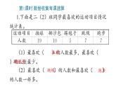 1 数据收集整理课件PPT