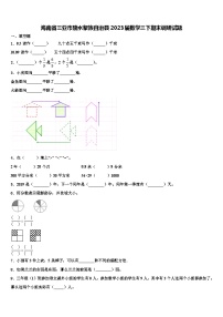 海南省三亚市陵水黎族自治县2023届数学三下期末调研试题含解析