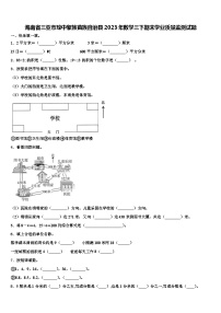 海南省三亚市琼中黎族苗族自治县2023年数学三下期末学业质量监测试题含解析