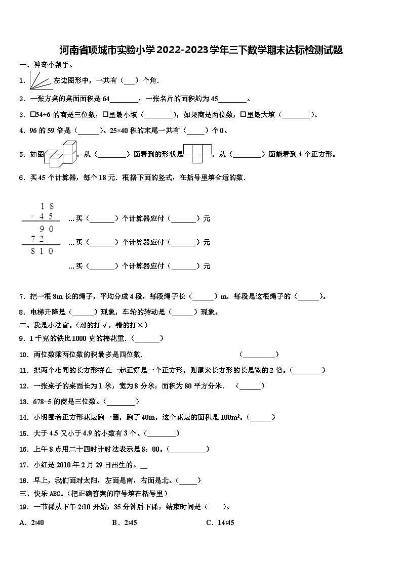 河南省项城市实验小学2022-2023学年三下数学期末达标检测试题含解析第1页