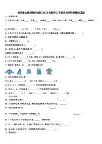 河池市大化瑶族自治县2023年数学三下期末质量检测模拟试题含解析