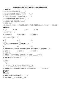 河南省鹤壁市浚县2023届数学三下期末经典模拟试题含解析