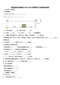 湖北省武汉市新洲区2022-2023学年数学三下期末统考试题含解析