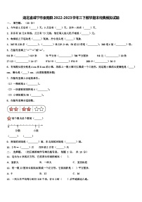 湖北省咸宁市崇阳县2022-2023学年三下数学期末经典模拟试题含解析