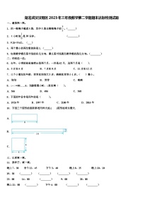 湖北武汉汉阳区2023年三年级数学第二学期期末达标检测试题含解析