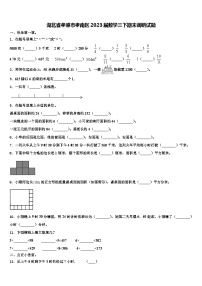 湖北省孝感市孝南区2023届数学三下期末调研试题含解析