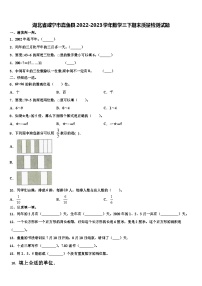 湖北省咸宁市嘉鱼县2022-2023学年数学三下期末质量检测试题含解析