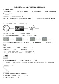 温州市瑞安市2023届三下数学期末经典模拟试题含解析