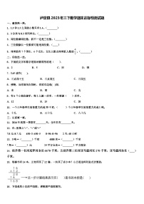 泸定县2023年三下数学期末达标检测试题含解析