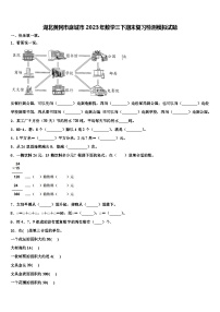 湖北黄冈市麻城市2023年数学三下期末复习检测模拟试题含解析