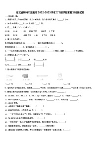 湖北省荆州市监利市2022-2023学年三下数学期末复习检测试题含解析