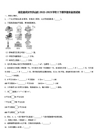 湖北省武汉市洪山区2022-2023学年三下数学期末监测试题含解析