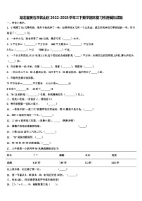 湖北省黄石市铁山区2022-2023学年三下数学期末复习检测模拟试题含解析