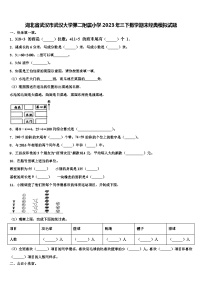 湖北省武汉市武汉大学第二附属小学2023年三下数学期末经典模拟试题含解析