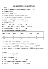 湖北省襄樊市保康县2023年三下数学期末含解析