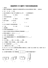 湖南省郴州市2023届数学三下期末质量跟踪监视试题含解析