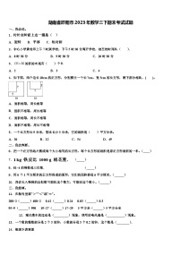 湖南省邵阳市2023年数学三下期末考试试题含解析