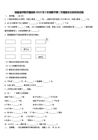 湖南省邵阳市隆回县2023年三年级数学第二学期期末达标检测试题含解析