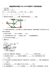 湖南省邵阳市双清区2022-2023学年数学三下期末调研试题含解析