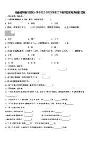 湖南省岳阳市城区小学2022-2023学年三下数学期末经典模拟试题含解析