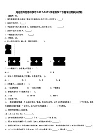 湖南省岳阳市汨罗市2022-2023学年数学三下期末经典模拟试题含解析