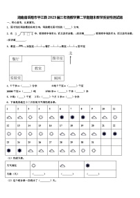 湖南省岳阳市平江县2023届三年级数学第二学期期末教学质量检测试题含解析