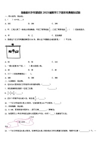 湖南省长沙市望城区2023届数学三下期末经典模拟试题含解析