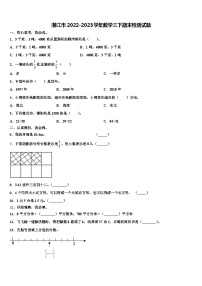 湛江市2022-2023学年数学三下期末检测试题含解析