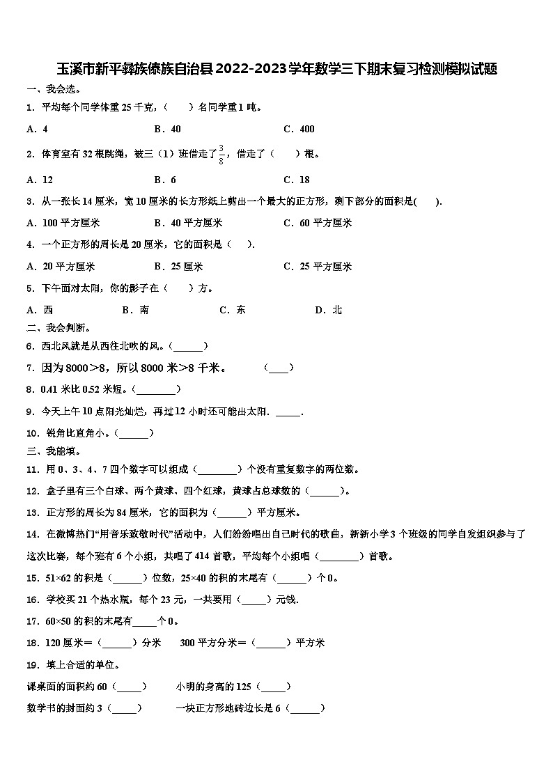 玉溪市新平彝族傣族自治县2022-2023学年数学三下期末复习检测模拟试题含解析01