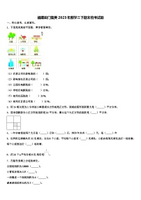 福建厦门集美2023年数学三下期末统考试题含解析