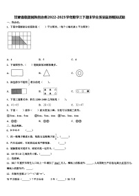 甘肃省临夏回族自治州2022-2023学年数学三下期末学业质量监测模拟试题含解析