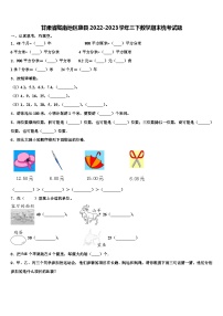 甘肃省陇南地区康县2022-2023学年三下数学期末统考试题含解析