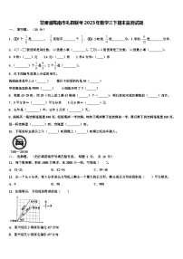 甘肃省陇南市礼县联考2023年数学三下期末监测试题含解析