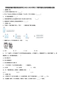 贵州省安顺市普定县实验学校2022-2023学年三下数学期末达标检测模拟试题含解析