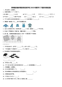 贵州省安顺市普定县实验学校2023年数学三下期末经典试题含解析