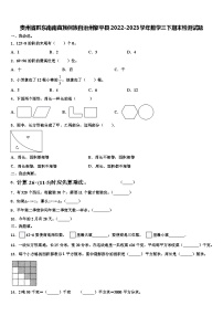 贵州省黔东南南苗族侗族自治州黎平县2022-2023学年数学三下期末检测试题含解析