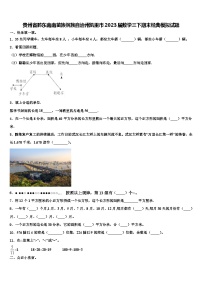 贵州省黔东南南苗族侗族自治州凯里市2023届数学三下期末经典模拟试题含解析