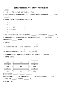 贵州省黔南区贵定县2023届数学三下期末监测试题含解析