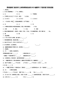 贵州省铜仁地区印江土家族苗族自治县2023届数学三下期末复习检测试题含解析