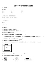 虎林市2023届三下数学期末监测试题含解析