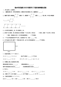 衡水市武强县2023年数学三下期末调研模拟试题含解析