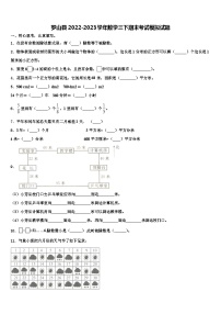 罗山县2022-2023学年数学三下期末考试模拟试题含解析