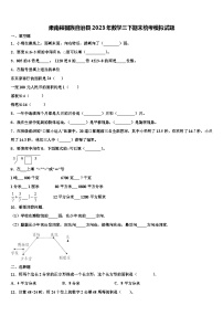 肃南裕固族自治县2023年数学三下期末统考模拟试题含解析