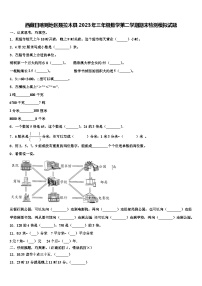 西藏日喀则地区聂拉木县2023年三年级数学第二学期期末检测模拟试题含解析